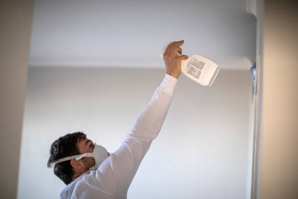 Certified Mold Removal in Ocean View, DE
