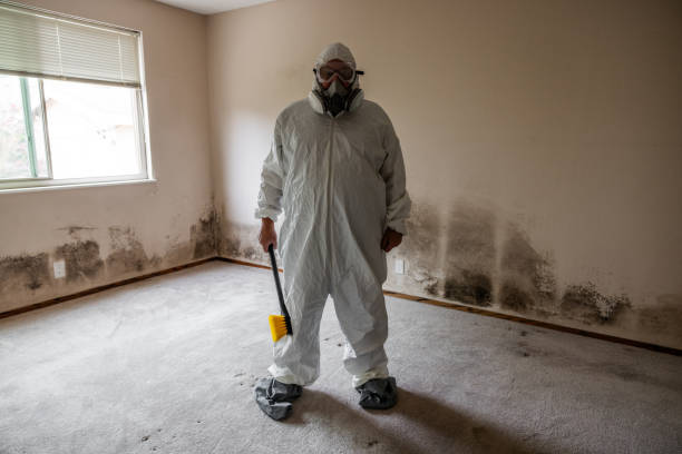 Best Professional Mold Removal  in Ocean View, DE