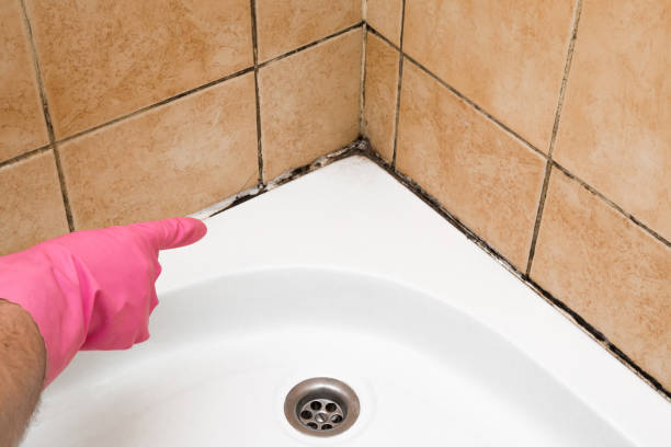 Best Best Mold Removal Companies  in Ocean View, DE